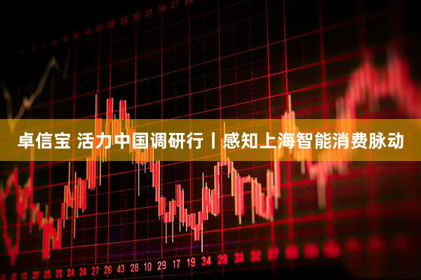卓信宝 活力中国调研行丨感知上海智能消费脉动