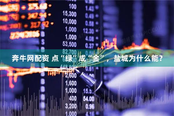 奔牛网配资 点“绿”成“金”，盐城为什么能？