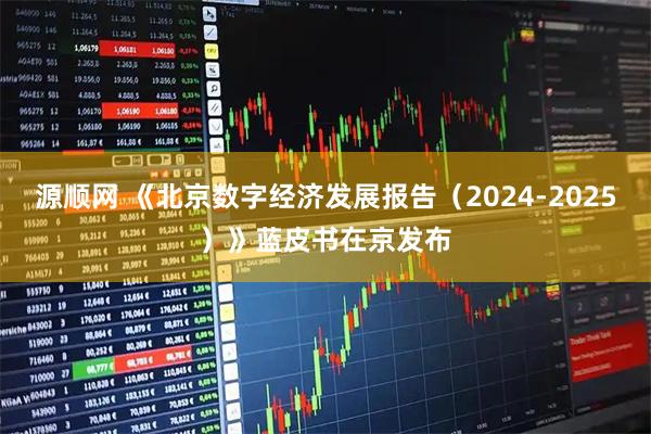 源顺网 《北京数字经济发展报告（2024-2025）》蓝皮书在京发布