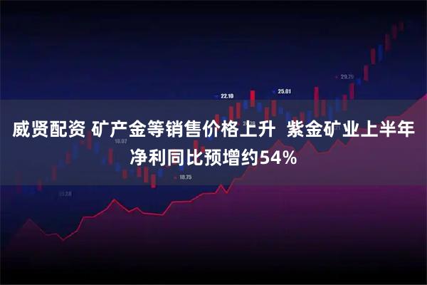 威贤配资 矿产金等销售价格上升  紫金矿业上半年净利同比预增约54%