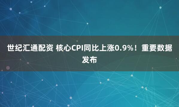 世纪汇通配资 核心CPI同比上涨0.9%！重要数据发布
