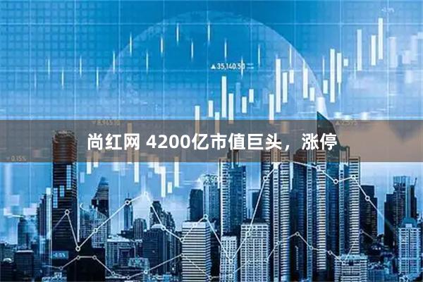 尚红网 4200亿市值巨头，涨停
